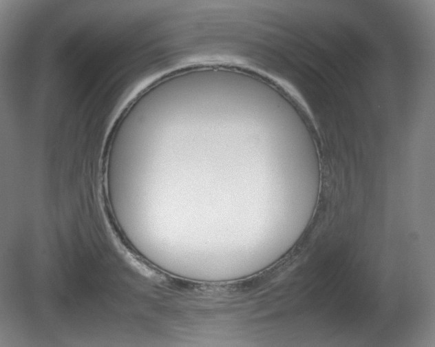 X0000080780895200612151029