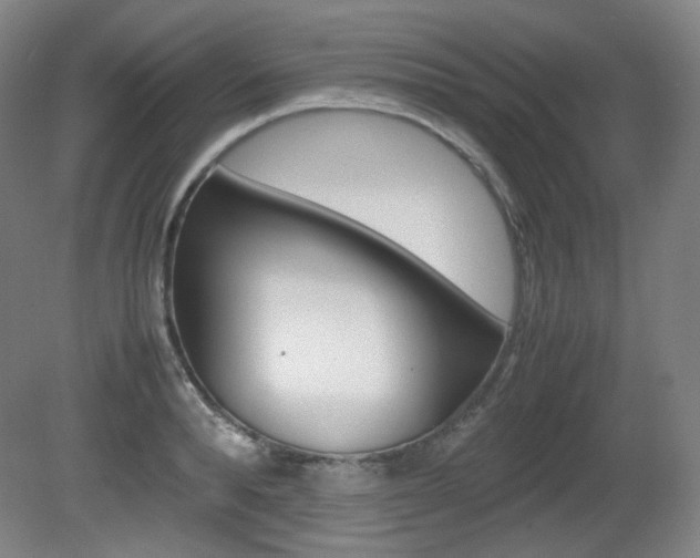 X0000080780896200612151029
