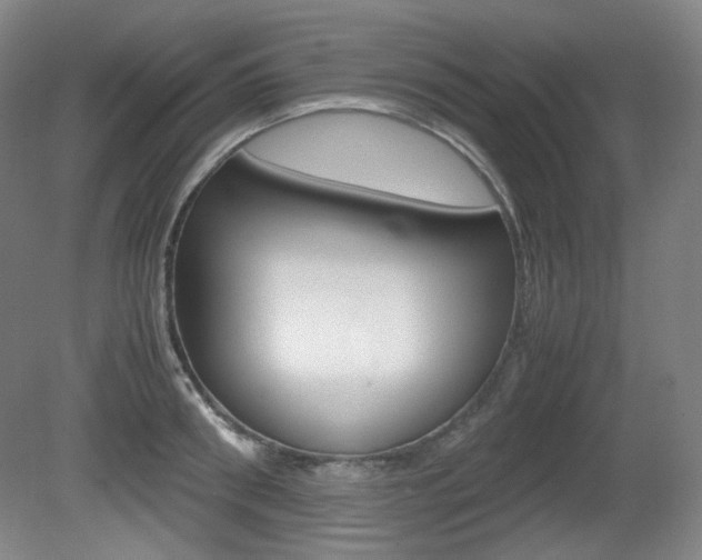 X0000080780898200612151029