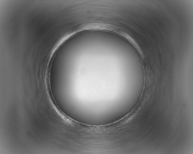 X0000080780901200612151029