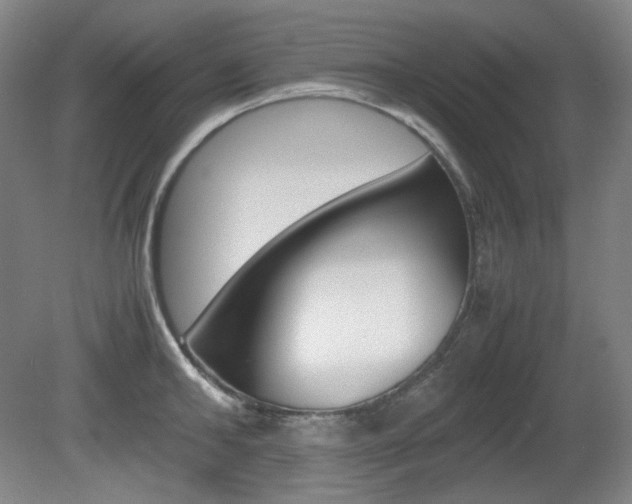 X0000080780902200612151029