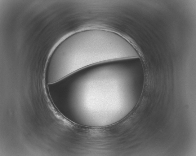 X0000080780904200612151028