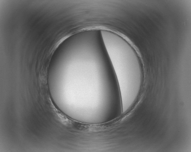 X0000080780905200612151028