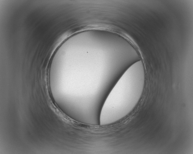X0000080780907200612151028