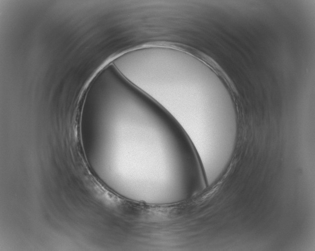 X0000080780908200612151028