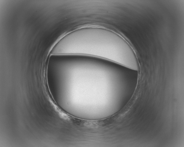 X0000080780909200612151028
