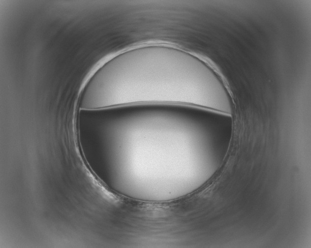 X0000080780910200612151028