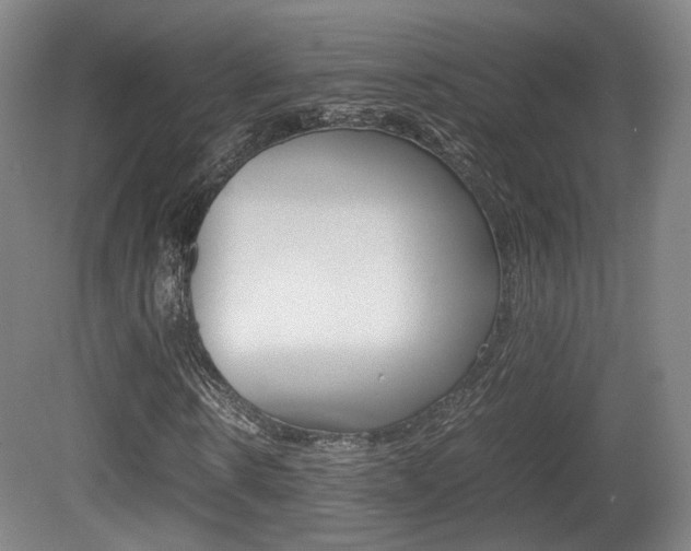X0000080780914200612151028