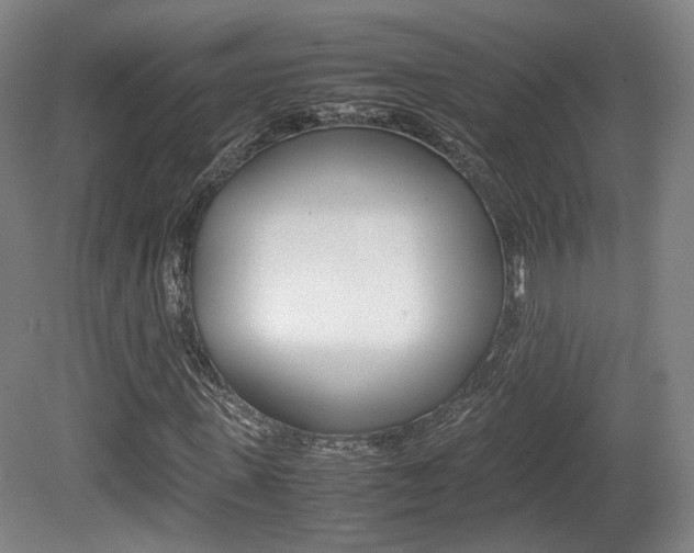 X0000080780915200612151028