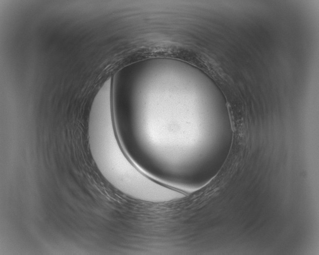 X0000080780916200612151028