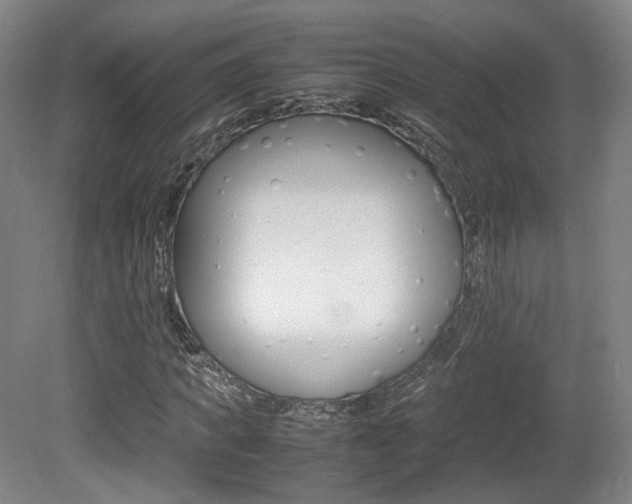 X0000080780917200612151028
