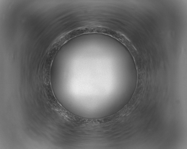 X0000080780919200612151028