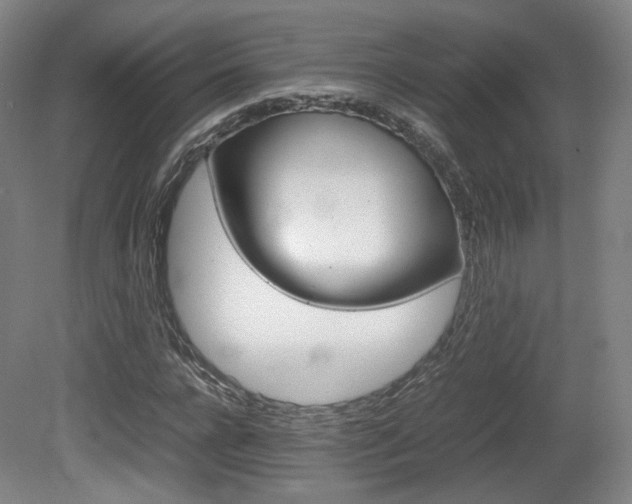 X0000080780920200612151028