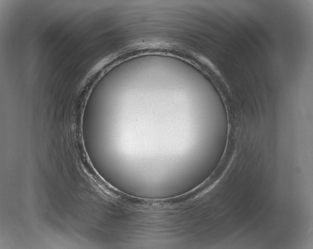 X0000080780922200612151028