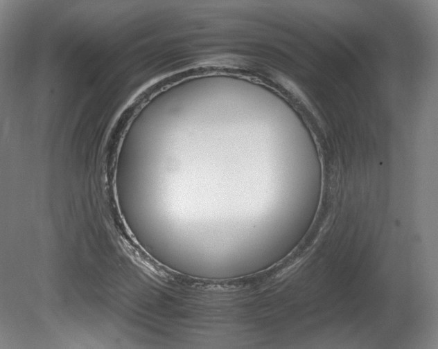 X0000080780923200612151028