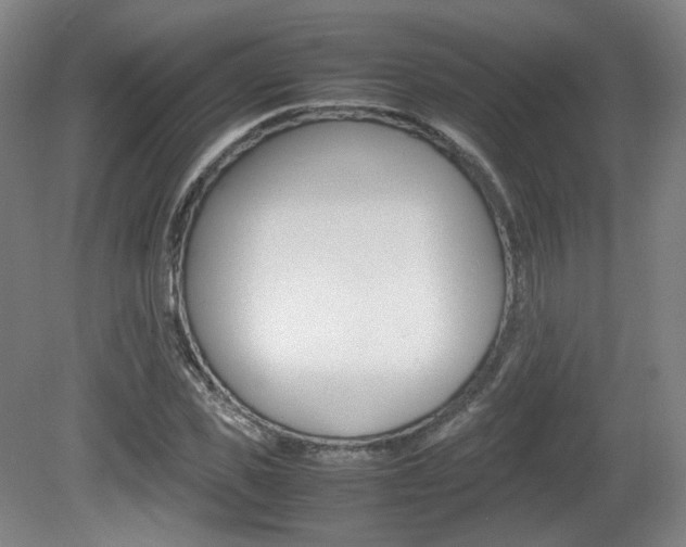 X0000080780925200612151028
