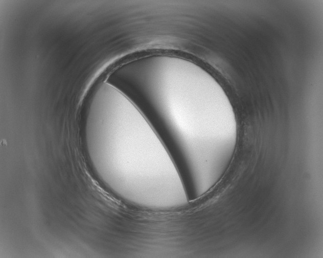 X0000080780926200612151028