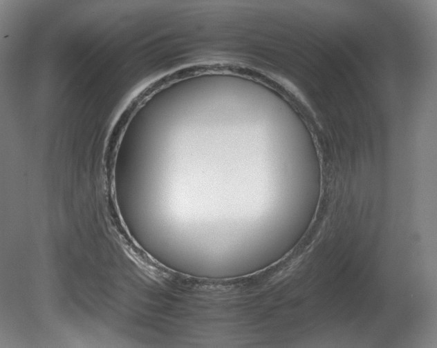 X0000080780927200612151028