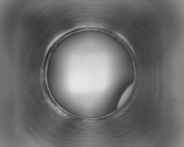 X0000080780928200612151028