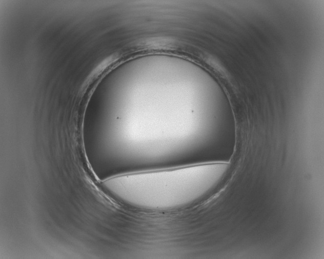 X0000080780930200612151028