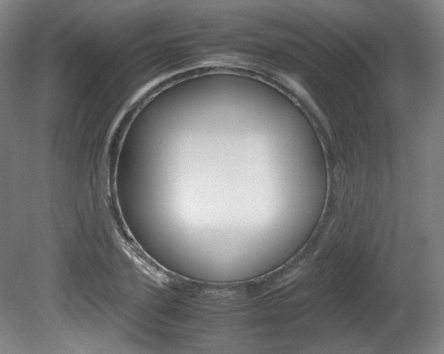 X0000080780931200612151028