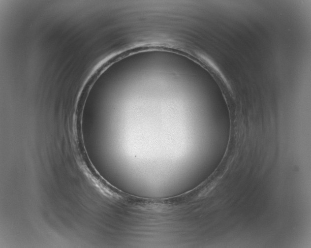 X0000080780932200612151028