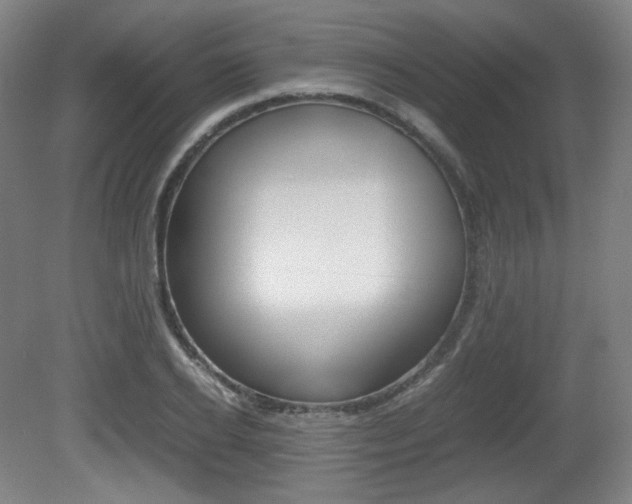 X0000080780934200612151028