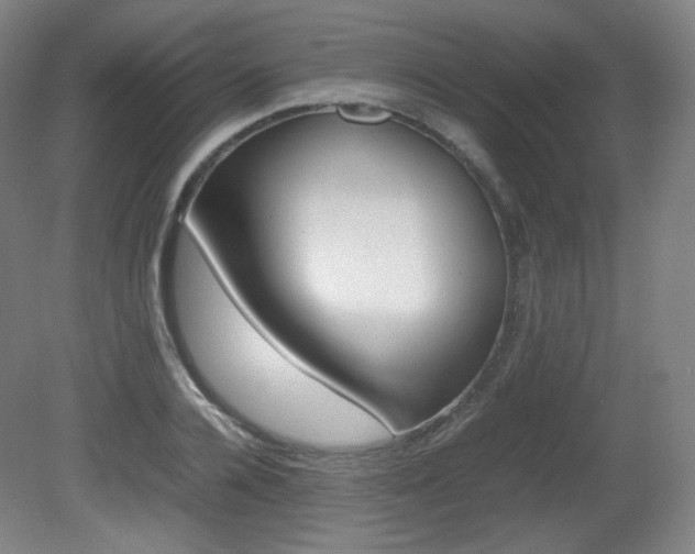 X0000080780936200612151028