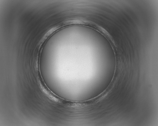 X0000080780938200612151028