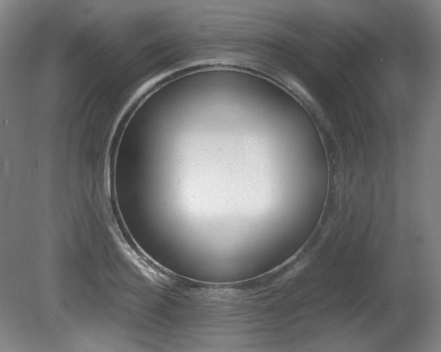 X0000080780940200612151028