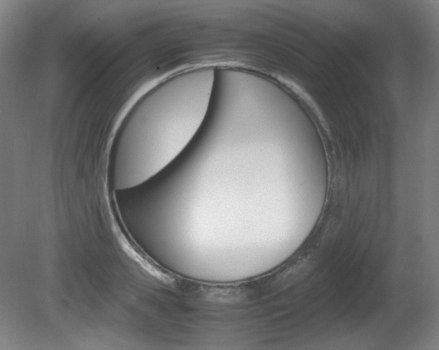 X0000080780941200612151028
