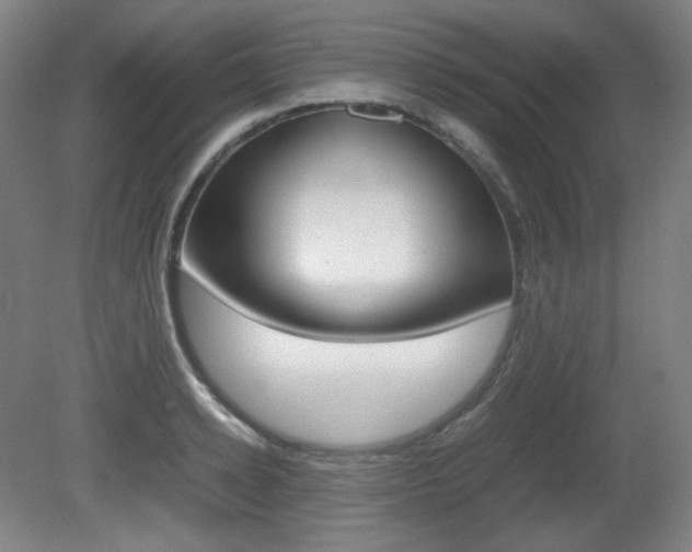X0000080780942200612151028