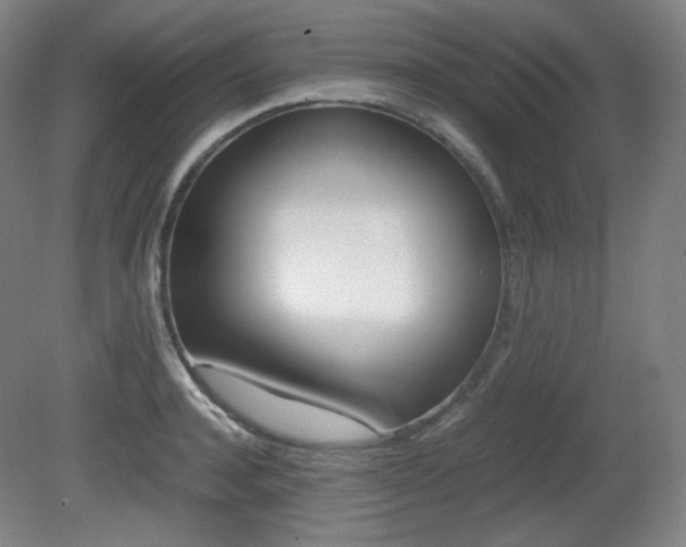 X0000080780944200612151028