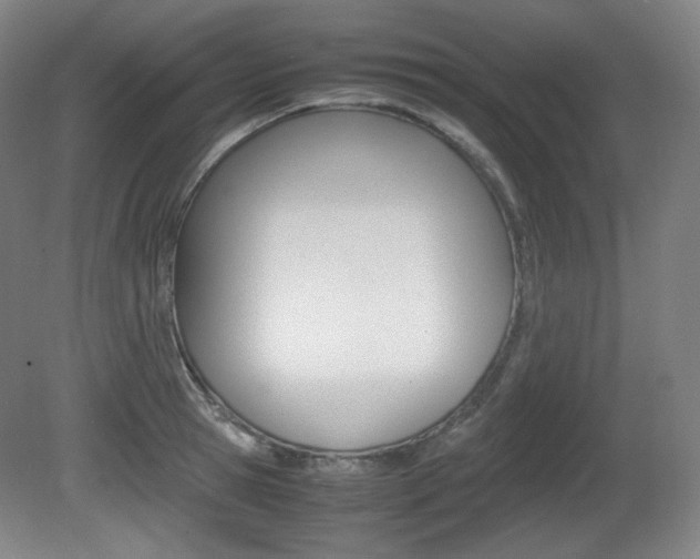 X0000080780945200612151028