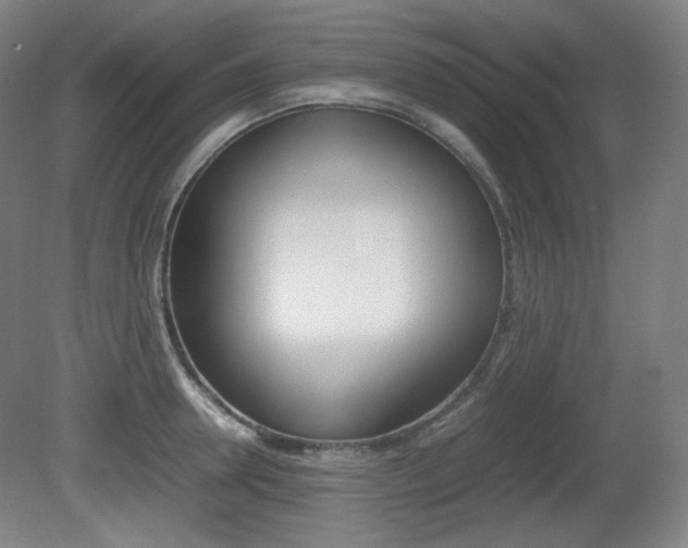 X0000080780946200612151028