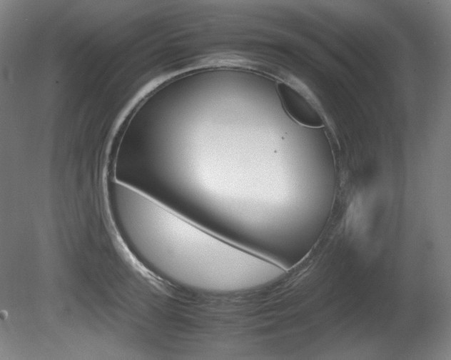 X0000080780947200612151028