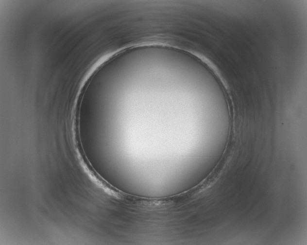 X0000080780949200612151028