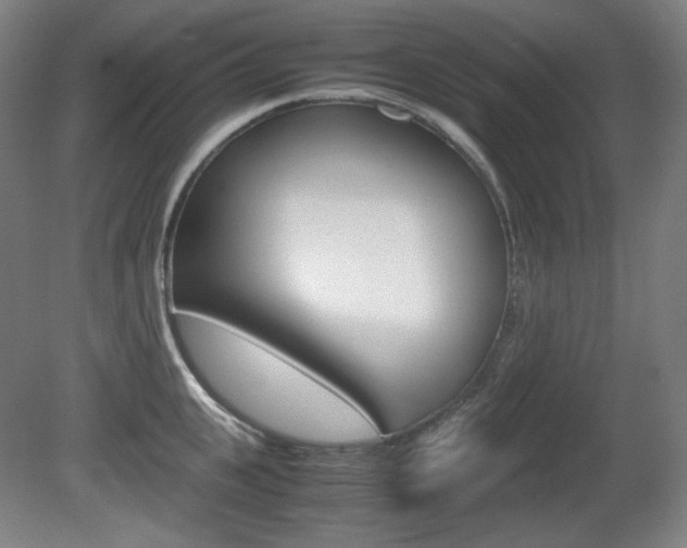 X0000080780951200612151028