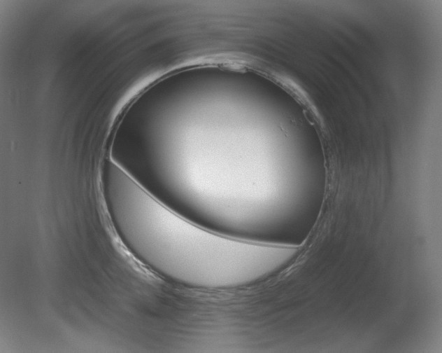 X0000080780952200612151028