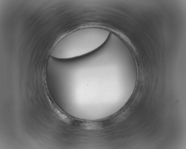 X0000080780953200612151028