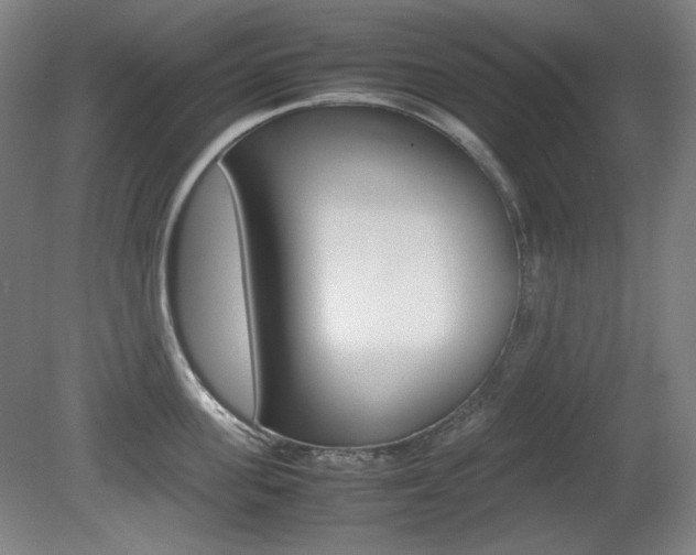 X0000080780955200612151028