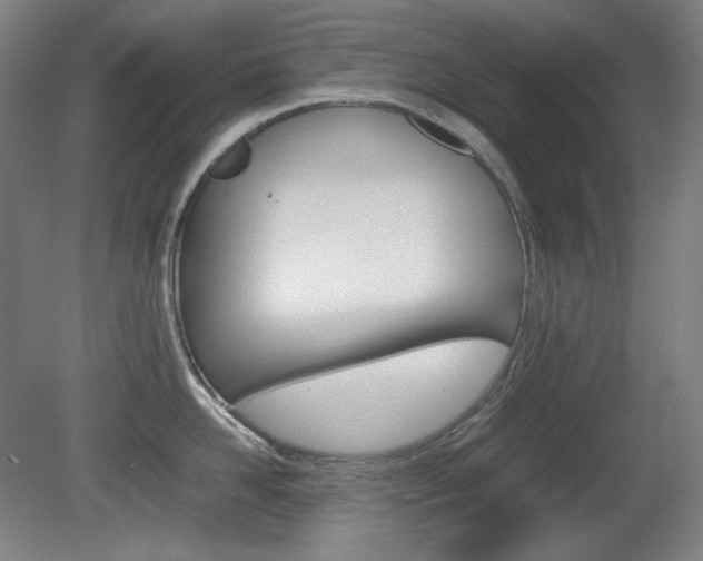X0000080780958200612151028