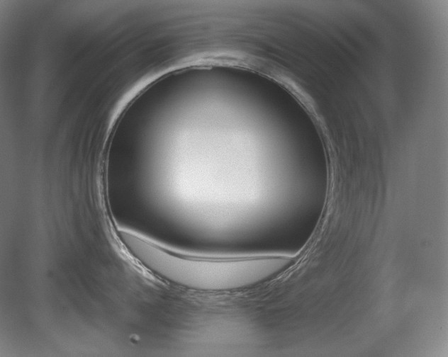 X0000080780960200612151028