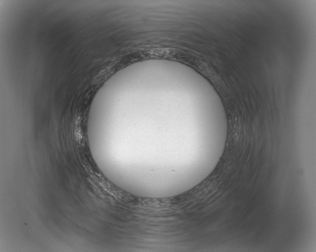 X0000080780962200612151028