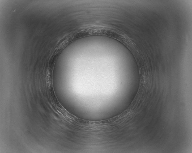 X0000080780964200612151027