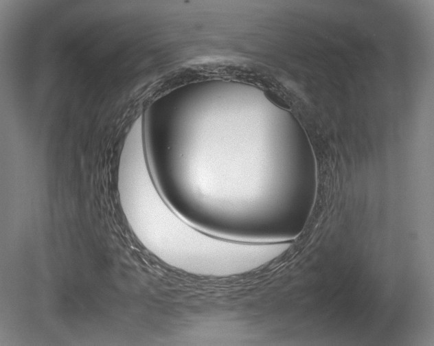 X0000080780965200612151027