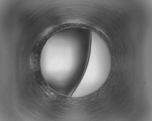 X0000080780968200612151027