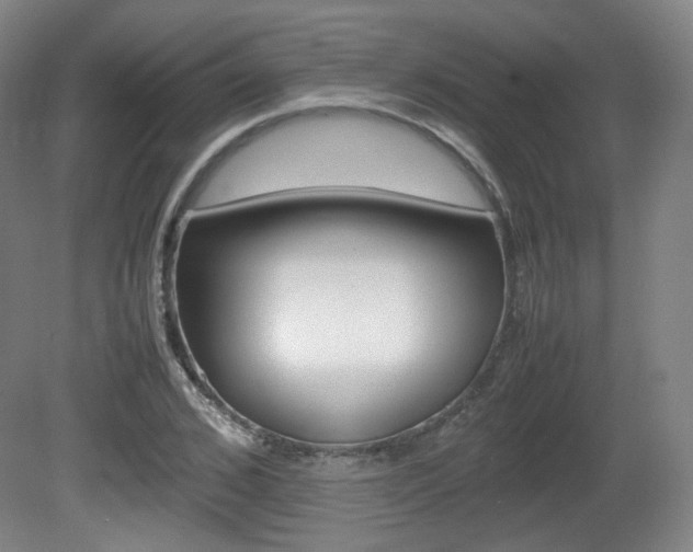 X0000080780976200612151027