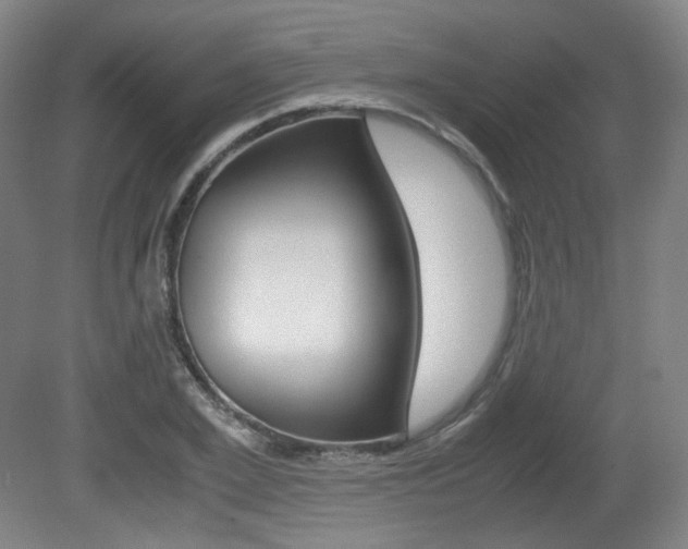 X0000080780981200612151027