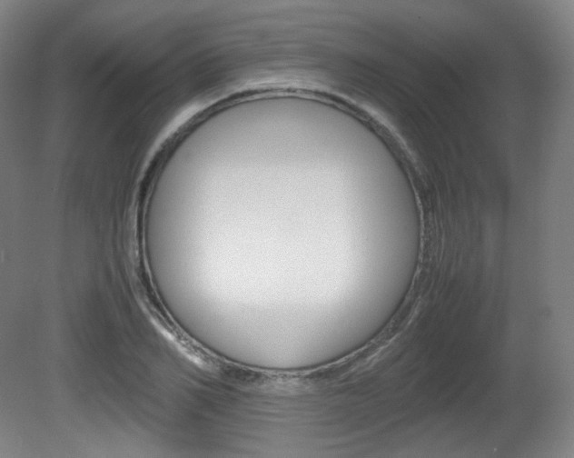 X0000080780982200612151027